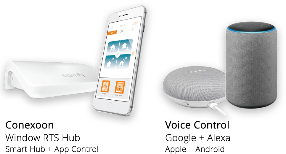 Conexoon and Voice Control