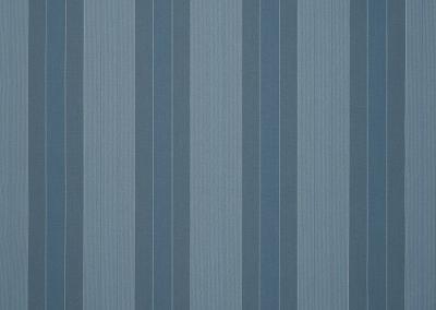Dickson Orchestra | Craft Blue