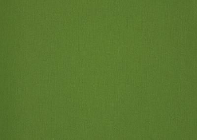 Dickson Orchestra | Fern