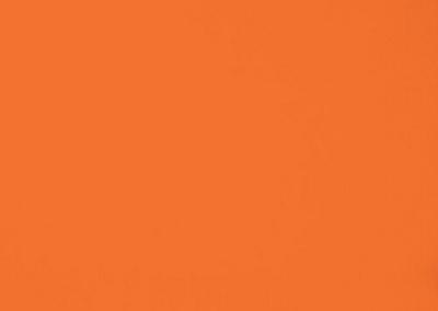 Dickson Orchestra | Orange