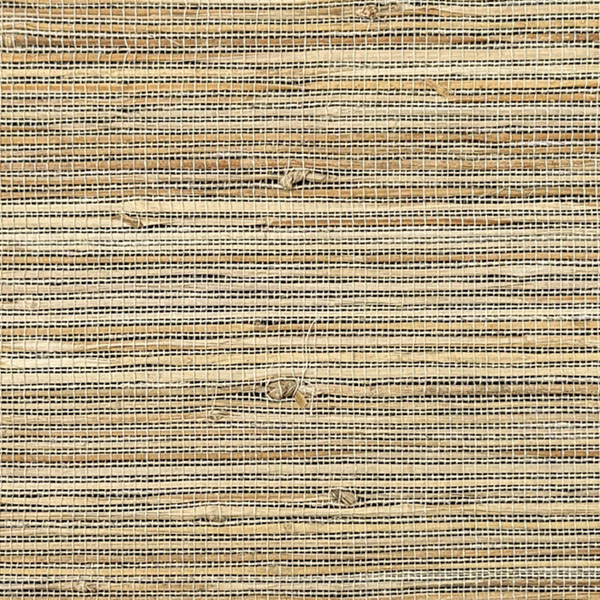 Pierre Naturals | Earthen Pierre Naturals | Earthen