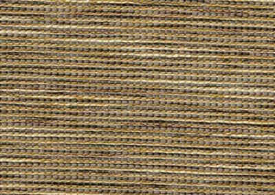 Namoi | LF | Coral