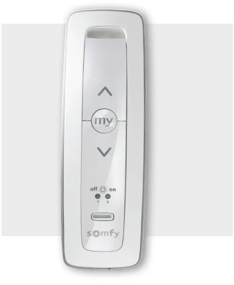somfy motorisation