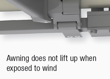 windlock safety device